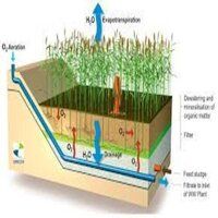 Reed Bed System