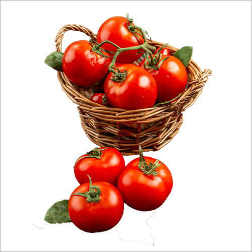 Round Red Tomato