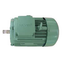 Silver Three Phase Induction Motor