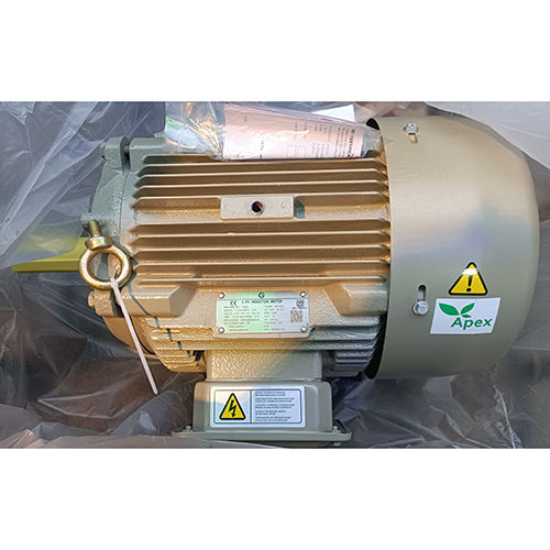 Industrial Induction Motor