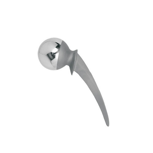 Stainless Steel Regular Finish Thompson Hip Prothesis