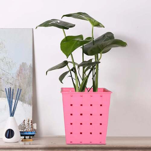 SQUARE SINGLE PLANT RAILING DOTTED PLANTERS (4614) - Plastic, 10x10x5 cm, White & Multi-Colored | Stylish Design for Modern Gardening Decor
