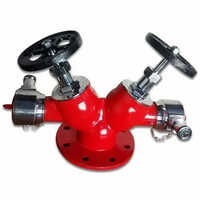 Stainless Steel Double Hydrant Valve Application: Fire Fighting System