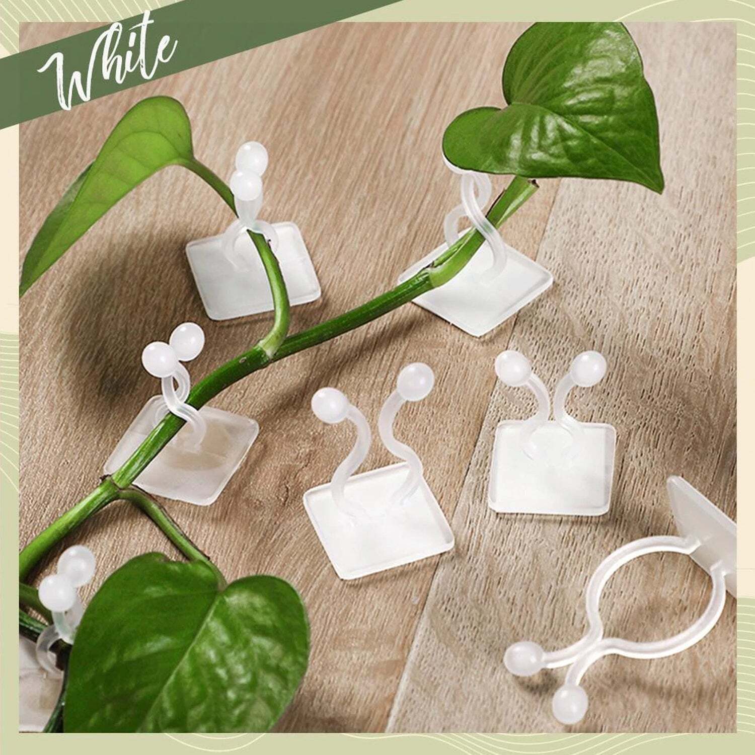 WALL PLANT CLIMBING CLIP WIDELY USED FOR HOLDING PLANTS AND POULTRY PURPOSES AND ALL (6156)
