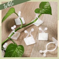 WALL PLANT CLIMBING CLIP WIDELY USED FOR HOLDING PLANTS AND POULTRY PURPOSES AND ALL (6156)