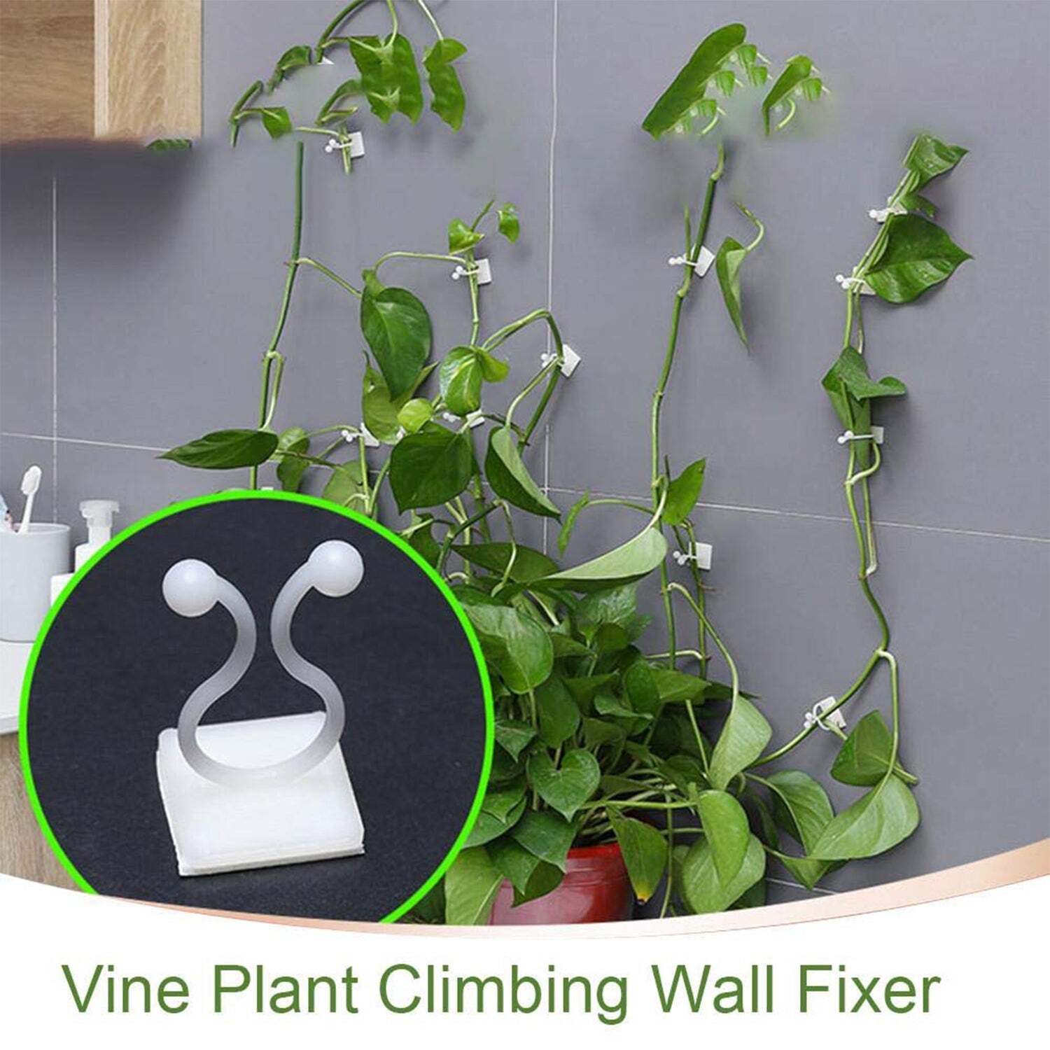 WALL PLANT CLIMBING CLIP WIDELY USED FOR HOLDING PLANTS AND POULTRY PURPOSES AND ALL (6156)