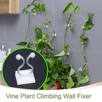 WALL PLANT CLIMBING CLIP WIDELY USED FOR HOLDING PLANTS AND POULTRY PURPOSES AND ALL (6156)