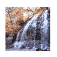 Glossy Finish Poster Tiles
