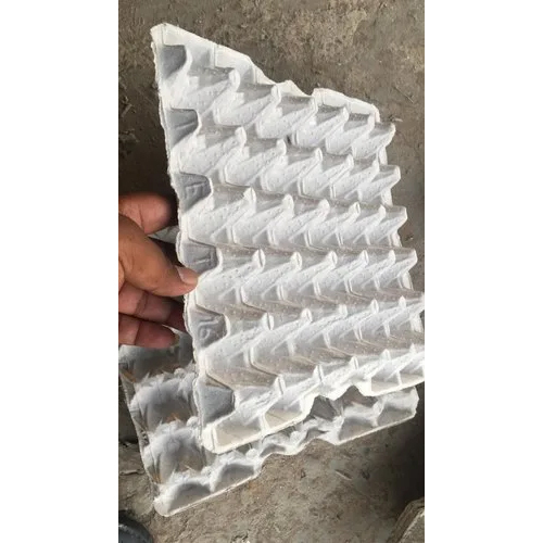 Poultry Egg Tray