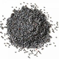 Poppy Seeds