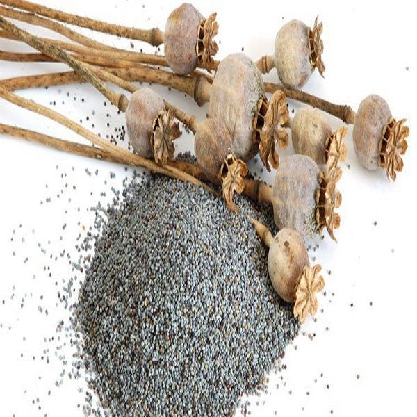 Poppy Seeds