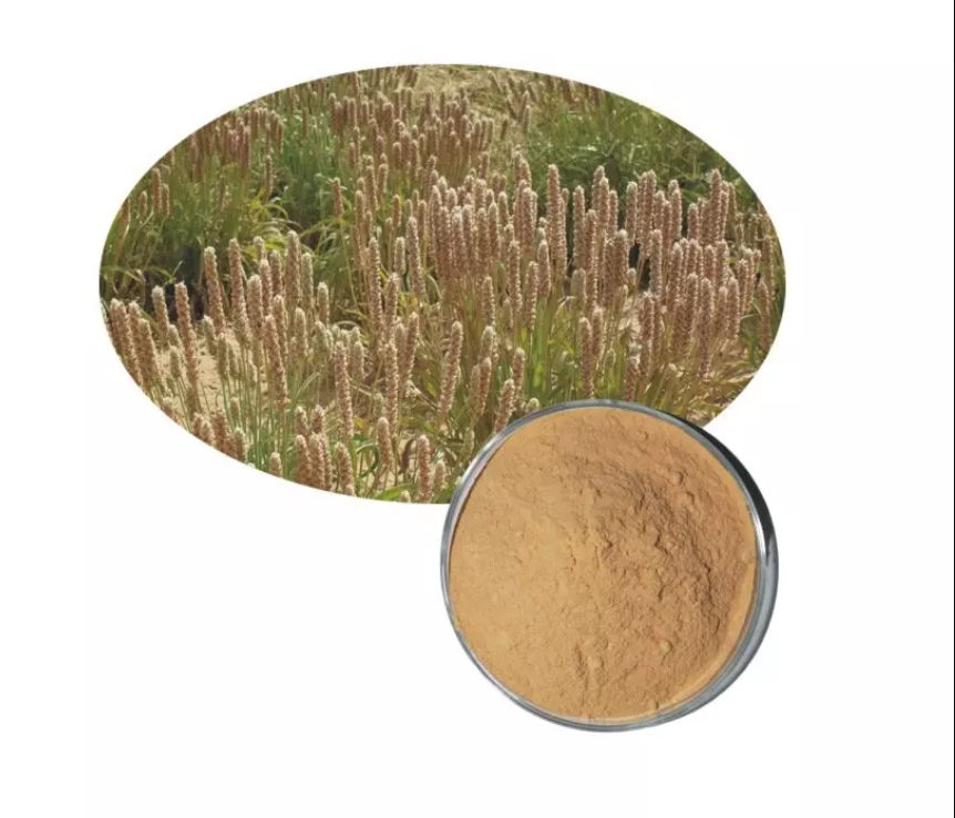 Psyllium Husk Powder