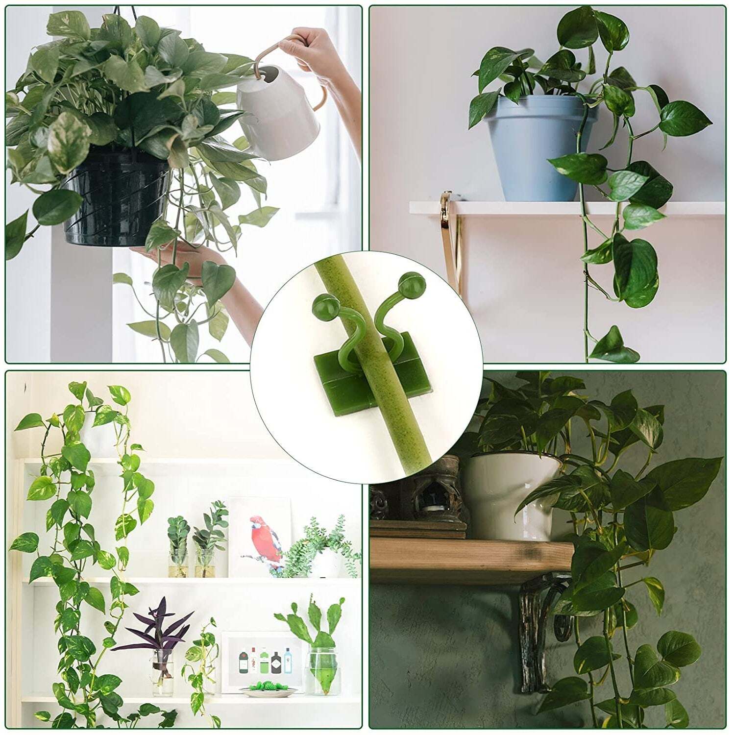 30PCS WALL PLANT CLIMBING CLIP WIDELY USED FOR HOLDING PLANTS AND POULTRY PURPOSES AND ALL (BOX) (6156A)