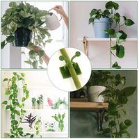 30PCS WALL PLANT CLIMBING CLIP WIDELY USED FOR HOLDING PLANTS AND POULTRY PURPOSES AND ALL (BOX) (6156A)