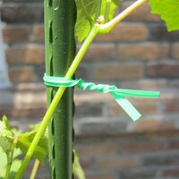 PLASTIC TWIST TIE WIRE SPOOL WITH CUTTER FOR GARDEN YARD PLANT 50M (GREEN) (0873)