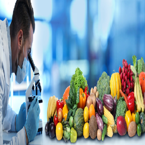 Food Quality Testing Services