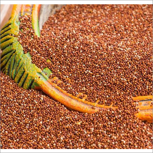 Ragi Millet