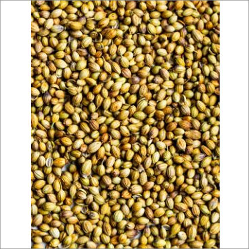 Coriander Seed Grade: A