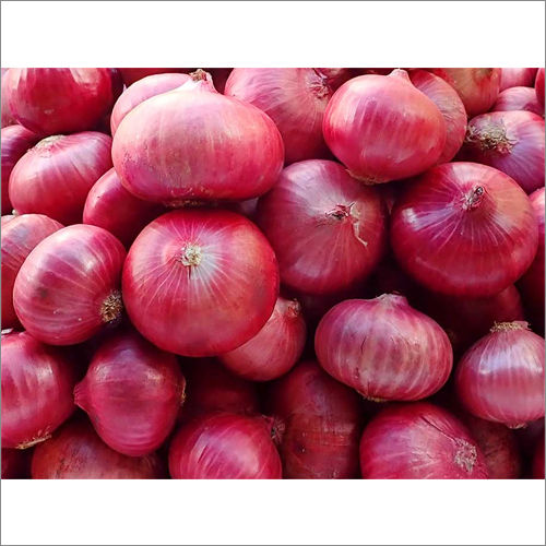 Red Onion