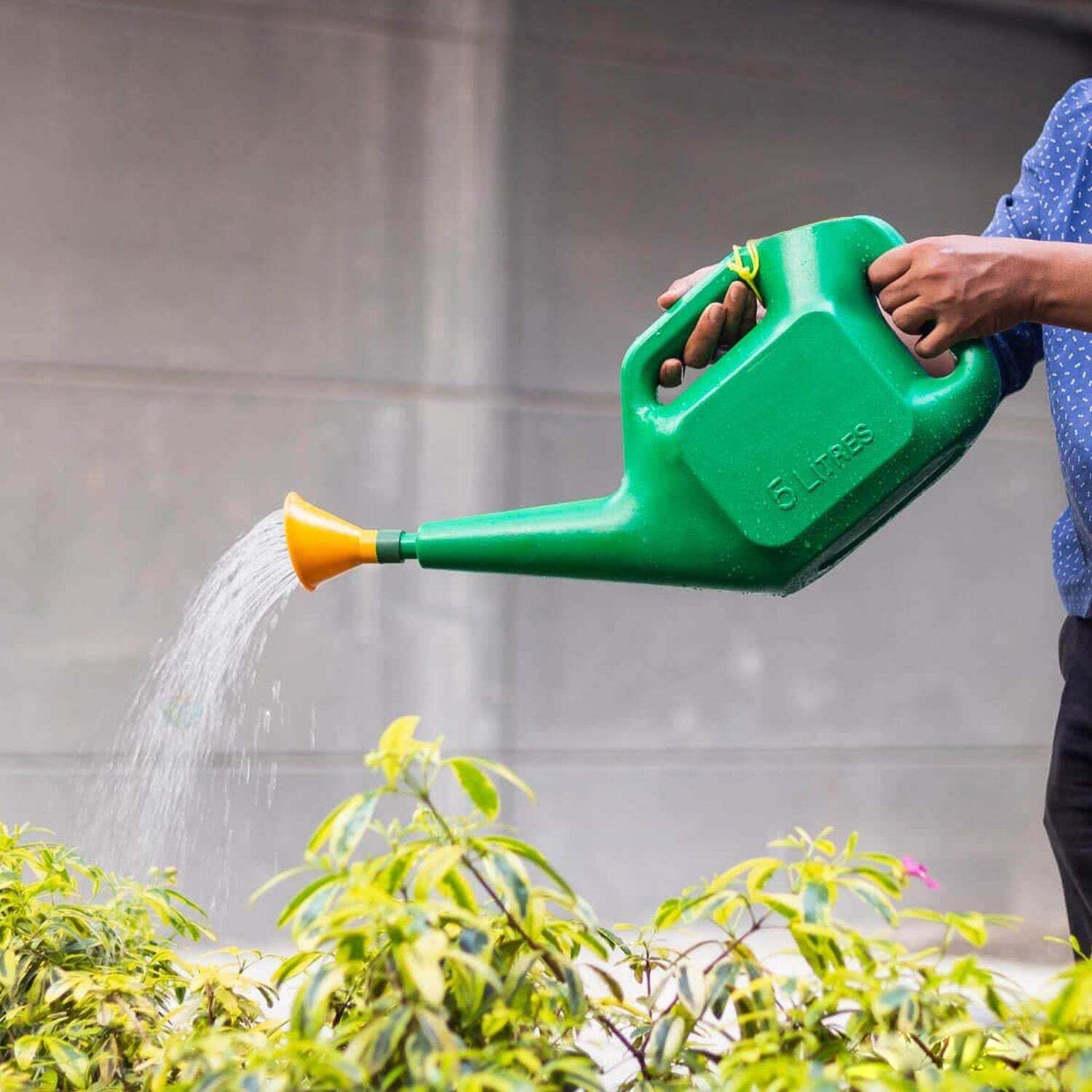 PLASTIC WATERING CAN WATER SPRAYER SPRINKLER FOR PLANTS INDOOR OUTDOOR GARDENING 5 LTR (9021)