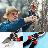 21CM RED GARDEN SHEARS SHARP CUTTER PRUNERS SCISSOR PRUNER (9082)