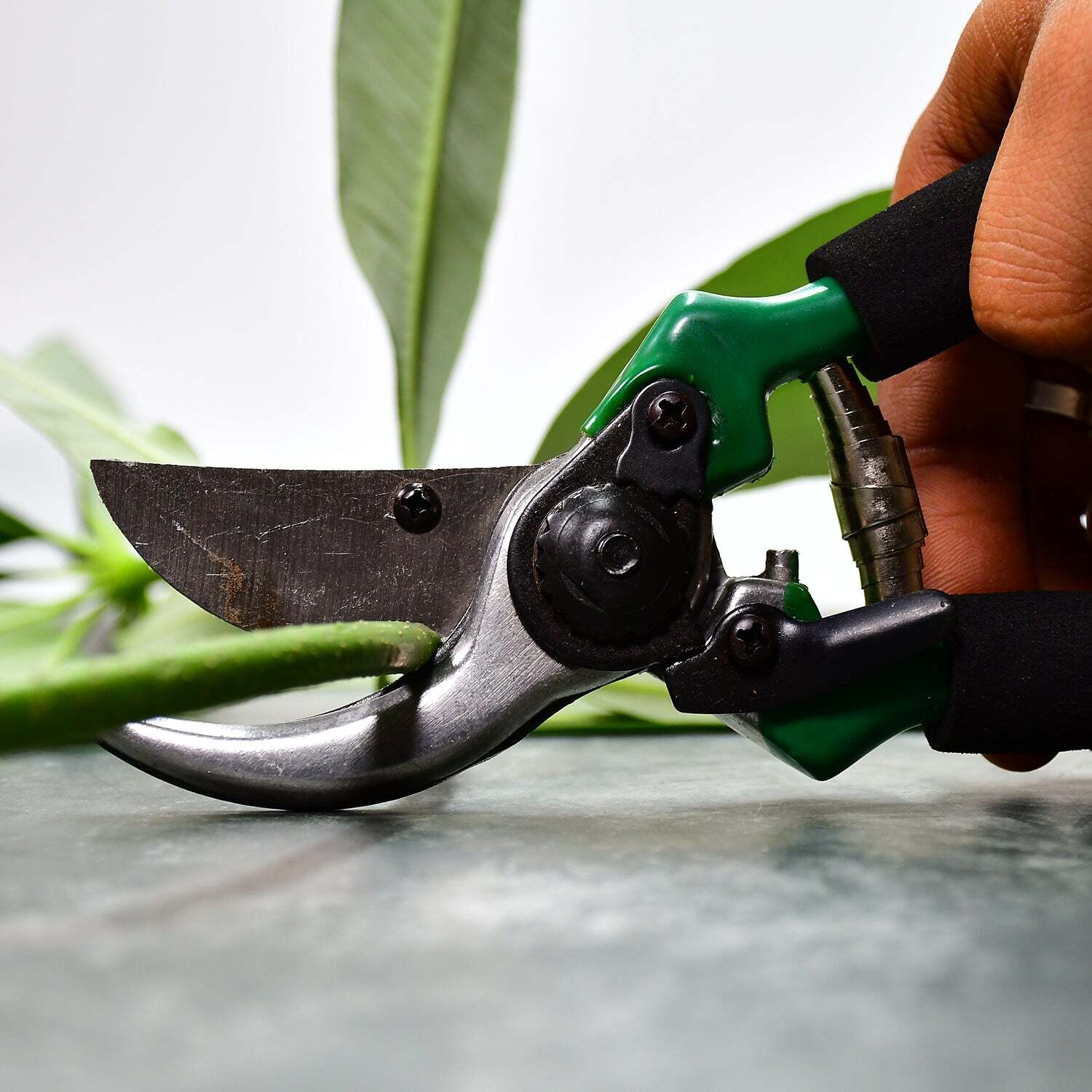 GREEN GARDEN SHEARS SHARP CUTTER PRUNERS SCISSOR PRUNER (9083)