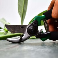 GREEN GARDEN SHEARS SHARP CUTTER PRUNERS SCISSOR PRUNER (9083)