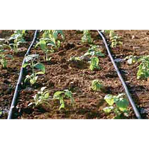 Drip Irrigation Systems