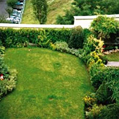 Roof Gardening