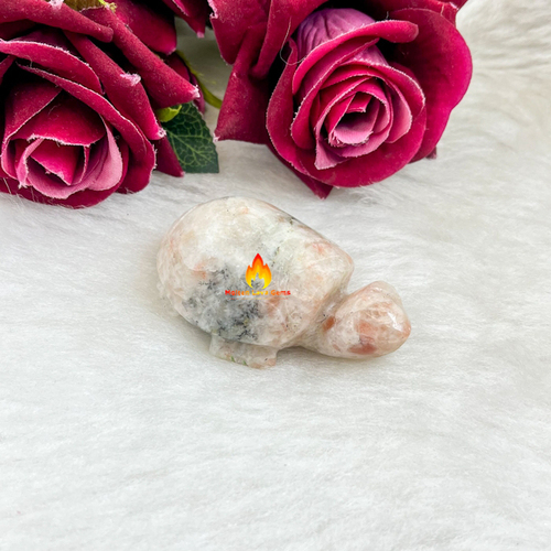 Orange Sunstone  Tortoise For Home Decoration