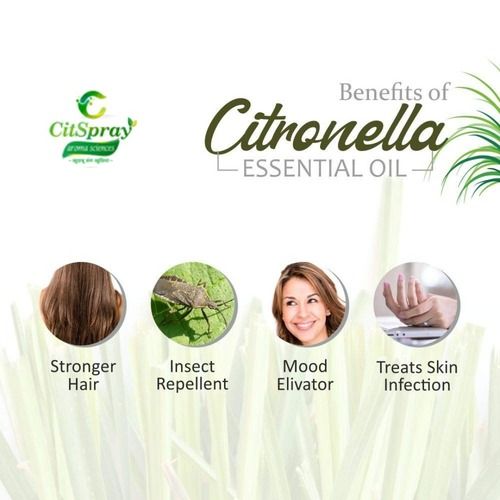 Citronella Oil Odour:: Warm