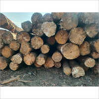 Syp Round Logs