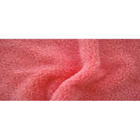 Coral Fleece Fabric