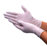 CleanRoom Powder Free Latex Gloves