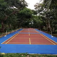 Blue-red Outdoor Synthetic Badminton Court