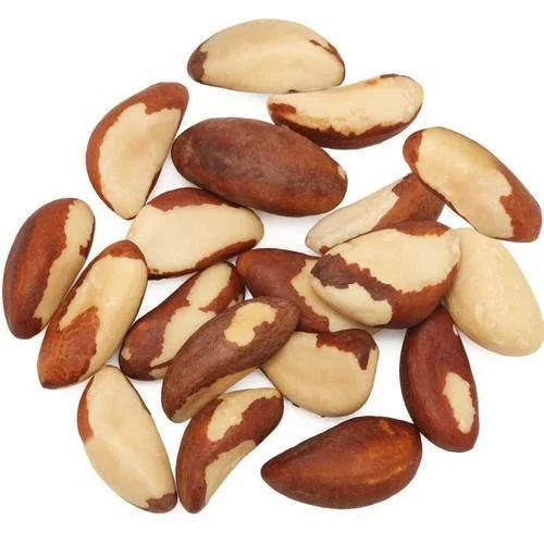 Brazil Nut Seed