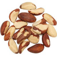 Brazil Nut Seed - Cultivation Type: Organic