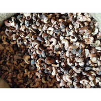 Organic Rejected Cashew