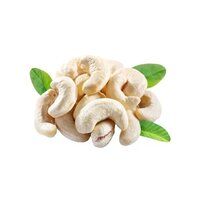 W 240 Cashew Nut