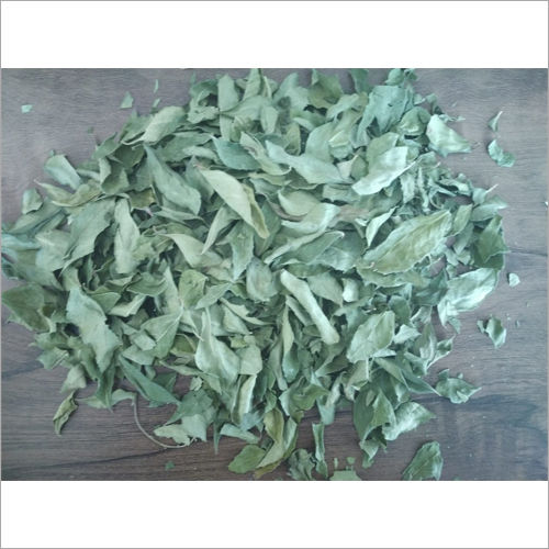 Green Dried Curry Leaves