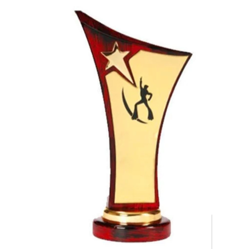 Star On A Sail Wooden Trophy