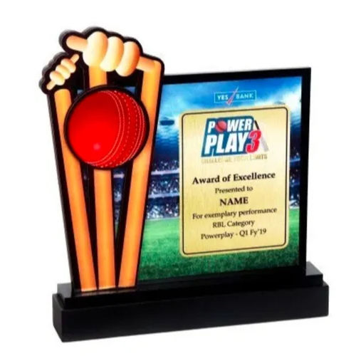 Corporate Powerplay Customized Trophy