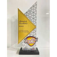 Custom Design Corporate Office Award