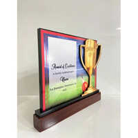 Cricket customized award trophy