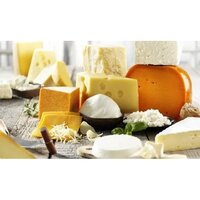 Dairy Industry Lactase Enzymes
