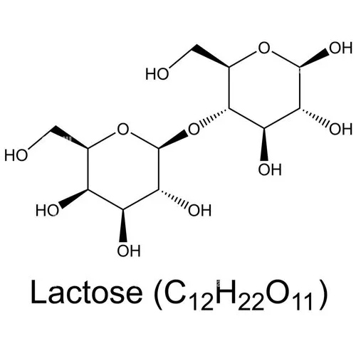 Dairy Industry Lactase Enzymes