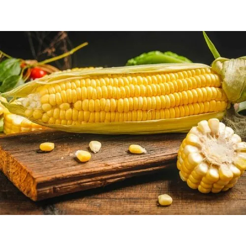 Glucoamylase Pullulanase Starch Processing Enzymes
