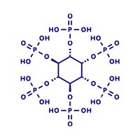 Animal Feed Phytase 5000 U-G Enzymes Powder