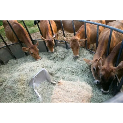 Animal Feed Phytase 5000 U-G Enzymes Powder