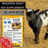 D Cox Kids Weaning Time Feed Supplement